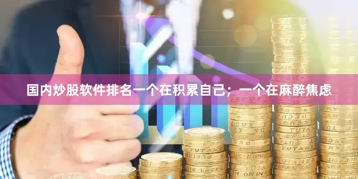 国内炒股软件排名一个在积累自己；一个在麻醉焦虑