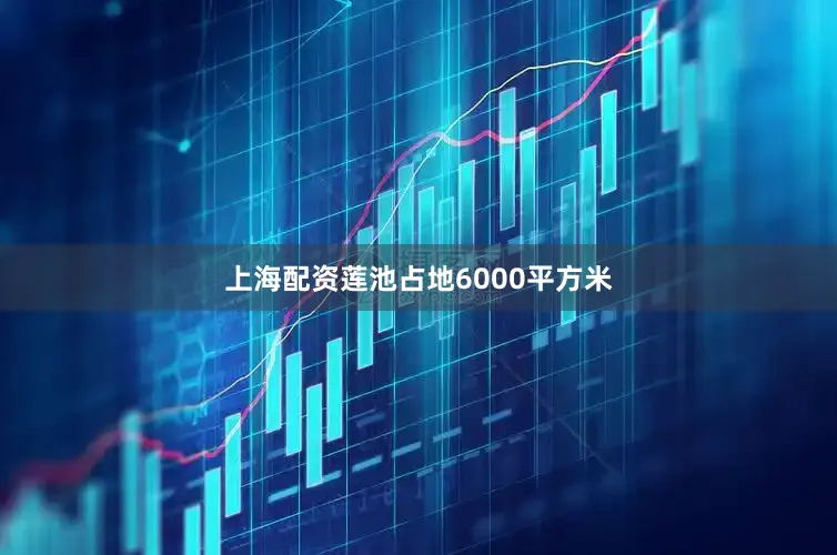 上海配资莲池占地6000平方米