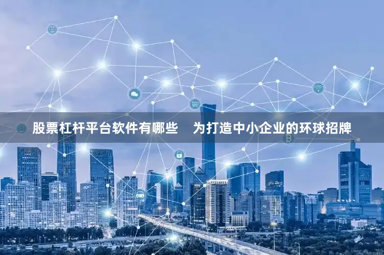 股票杠杆平台软件有哪些    为打造中小企业的环球招牌